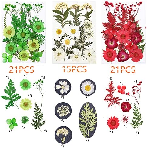 Cayway 8 Pack Dried Flowers for Resin Molds, Real Natural Dried Pressed Flowers, Natural Dried Pressed Leaves with Butterfly Sticker for Scrapbooking DIY Art Crafts, Jewelry
