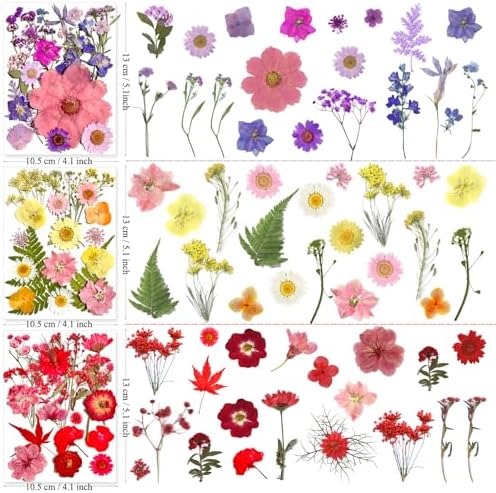 MIKIYA 182Pcs Dried Pressed Flowers for Resin Molds, Assorted Real Natural Bulk Dry Floral Leaves for DIY Art Crafts, Epoxy Jewelry, Candle, Soap Making, Nails Decors Gifts