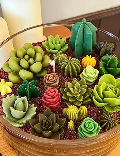 Navani 9 Pack Succulent Silicone Mold,Flower Resin Mold,Silicone Candle Molds.3D Cacti Candle Mold Silicone for Scented Candles Soaps Making, Wax, Resin Casting,Soap Cake Dessert Mousse Mold (A)