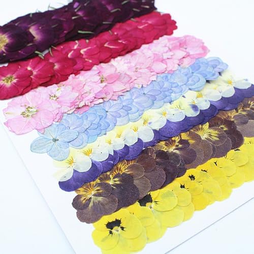 49 Pcs Dried Pressed Flowers for Crafts Art Resin DIY Natural Dry Pansy Rose Hydrangea Floral Epoxy Jewelry Real Flower Plants Decor Cakes Phone Cases Bookmarks Candles Handmade Soap