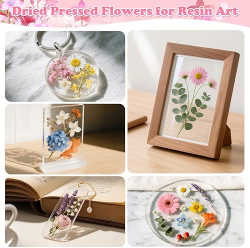 630 Pcs Real Dried Pressed Flowers & Butterfly Stickers for Resin Crafts