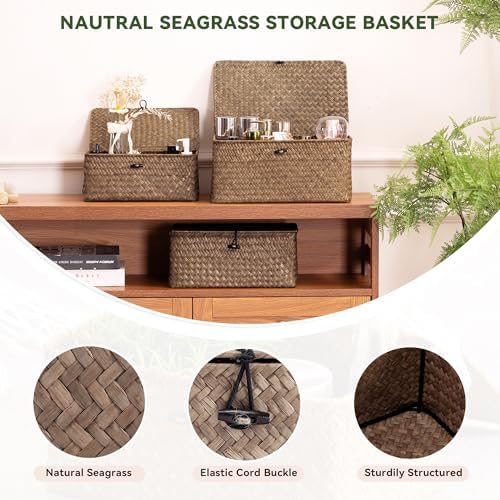 Nonam Small Wicker Basket with Lid,Seagrass Shelf Storage Basket,Coffee