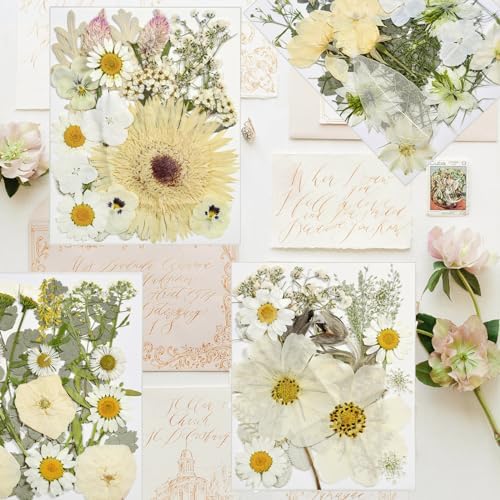 Dried Flowers for Resin