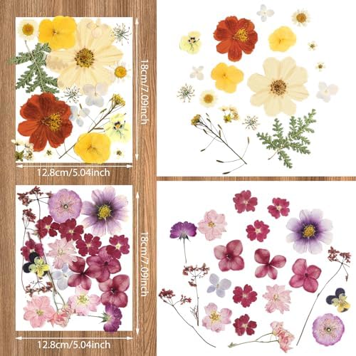 Nuanchu Natural Real Dried Pressed Flowers for Craft Resin DIY