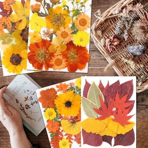 Dried Flowers 68Pcs Fall Pressed Flower with Tweezer for Crafts