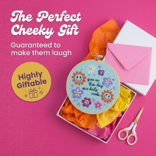 FUNATIC Give Us This Day Our Daily Meds Funny Embroidery Kit for Adults