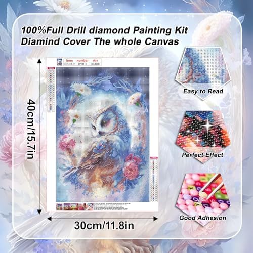 VeGuude Diamond Art Kits for Adults, Full Drill Owl Diamond Painting Kits for Beginners, DIY Full Rhinestone 5D Flower Diamond dots (Gemstone Craft), Home Wall Decoration (12x16 inch)