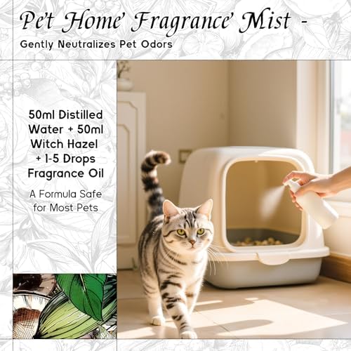 HIQILI Source of Strength Fragrance Oil for Diffuser, Candle & Soap Making