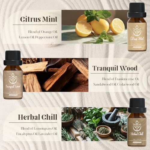 ARVIDSSON Zen Essential Oils Set, Nautal Tranquil Essential Oil for Diffusers for Home - Zen Garden, Lavender Dream, Serene Spa, Citrus Mint, Tranquil Wood, Herbal Chill, Gift for Women