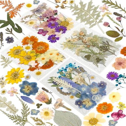 204 Pcs Dried Pressed Flowers for Resin Crafts, Real Natural Pressed Flowers and Leaves Kit Butterfly Stickers Vacuum Sealed Dry Flowers for DIY Epoxy Resin Jewelry Molds, Candle Soap Making, Nail Art