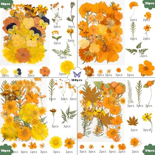 220 Pcs Dried Pressed Flowers for Resin Crafts, Real Natural Pressed Flowers and Leaves Kit Butterfly Stickers Vacuum Sealed Dry Flowers for DIY Epoxy Resin Jewelry Molds, Candle Soap Making, Nail Art