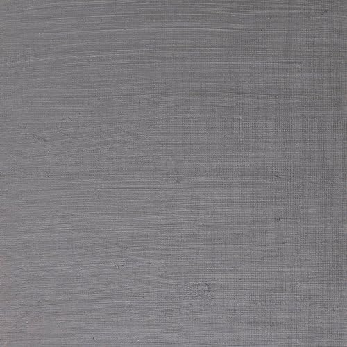 Winsor & Newton Artists' Oil Paint, 37ml Tube, Pewter