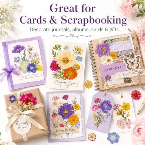173 pcs Dried Flowers for Resin, Natural Flowers and Leaves Kit with Butterfly Stickers， Vacuum Sealed DIY Pressed Flowers for Jewelry Molds, Candle Soap Making, Scrapbook, Nail Art (Colorful-G)