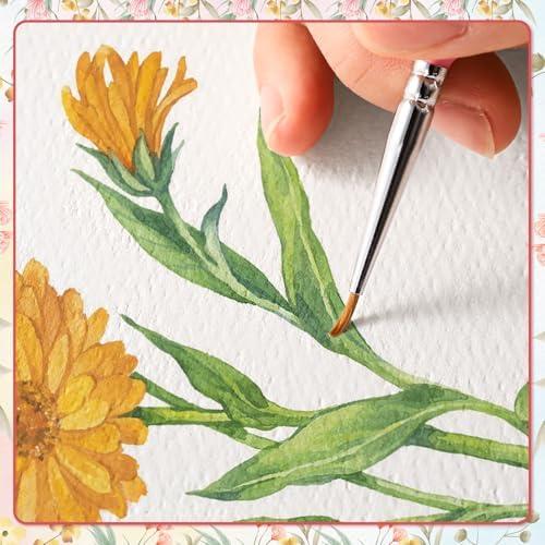 20 Sets Watercolor Cards with Envelopes, 4x6 Folded, 140Lb Cold Press