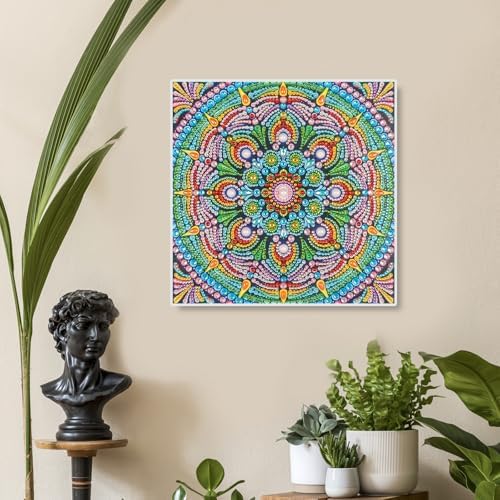 AiYuanzsh Special Shape Diamond Painting Set for Adults, Mandala 5D Partial Drilling Diamond Art Set for Beginners, Paint Gem Art Painting Crafts with Diamonds 30x30cm