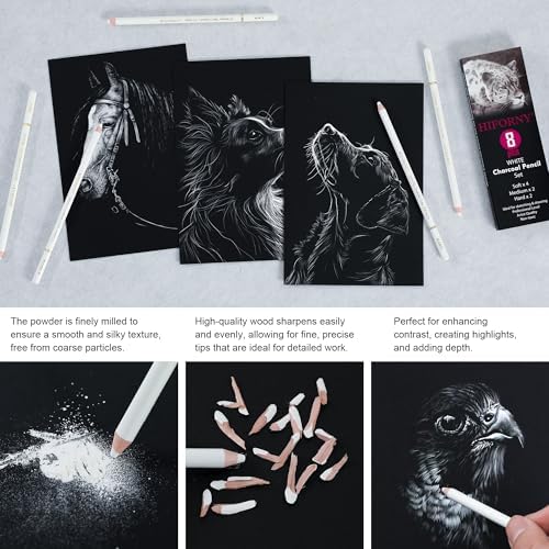 HIFORNY 8 Pieces White Charcoal Pencils Drawing Set for Drawing, Sketching, Shading, Blending - Chalk Pencils for Beginners & Artists