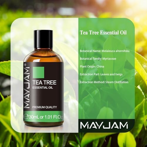 MAYJAM Tea Tree Essential Oil for Diffuser Soap Candle Making, 1.01fl.oz