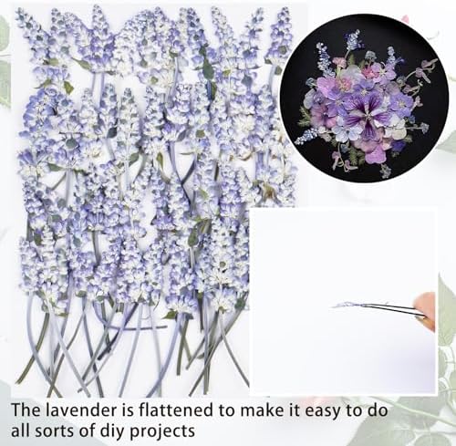 50Pcs Lavender Dried Pressed Flowers for Crafts,Xinxinran Dry Flowers Kit for Wedding Invitation,Resin Molds Bookmark,Jewelry Molds,Candle Making Supplies,Soap,Frame,Cakes