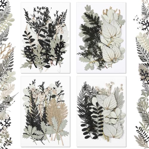 Timtin 84 Pieces Dried Pressed Leaves Dried Flowers for Resin Dried Leaves for Resin Mini Dried Flowers for Crafts Dried Greenery Assorted for Art DIY Handmade Bookmarks 4 Bags (Stylish Style)