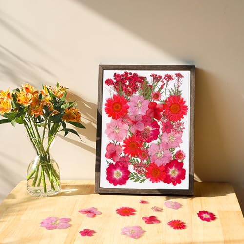 37Pcs Red Dried Pressed Flowers Natural Dried Flowers for Resin,Real Pressed Flowers for Crafts,Dry Flowers for Resin Molds DIY Scrapbookin Candle Jewellery Making