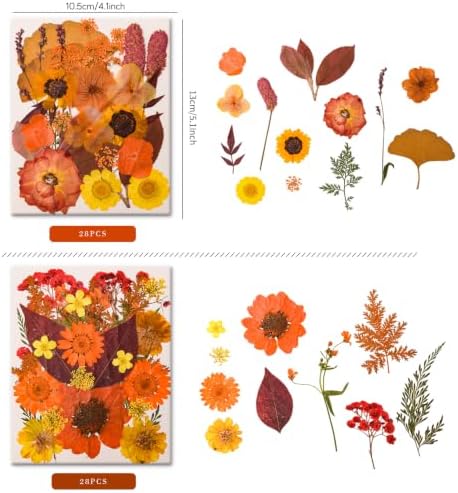 5 Packs 140 Pressed Dried Flowers & Leaves, Fall | Assorted Natural Dry Flowers, DIY Crafts, Resin Jewelry, Card Making, Soap, Candles, Nail Art, Scrapbooking