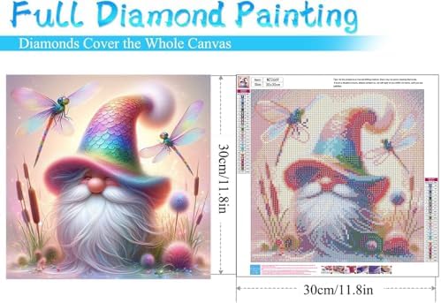 WNPOKN Gnomes Diamond Art Kits for Adults 12x16inch