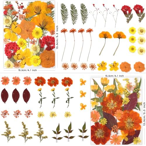 LUXEEASE 120P Yellow Orange Red Dried Pressed Flowers | Warm cozy gradient, maple leaves, varied blooms, for Thanksgiving resin jewelry scrapbook frame candle, tweezers included