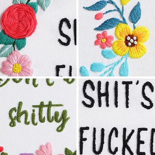 Louise Maelys 3 Sets Funny Embroidery Kits for Beginners