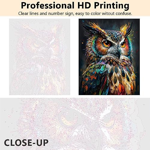 TUMOVO Abstract Owl Paint by Numbers Craft Kit for Adults