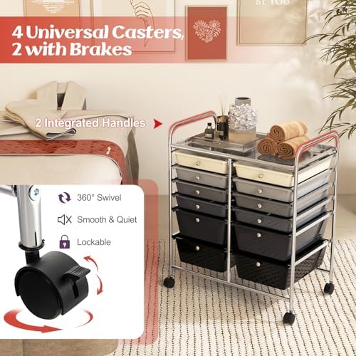LDAILY 12 Drawer Rolling Storage Cart, Craft Cart Organizer on Wheels w/Metal Frame, Large Capacity & Smooth Drawer, Rolling Cart w/Drawers for Classroom, Office