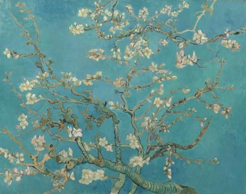 VeGuude Diamond Art Kits for Adults-Van Gogh Almond Blossom Diamond Painting Kits for Adults Beginners,5D DIY Full Drill Diamond Painting Cat Gem Art and Crafts 12x16inch