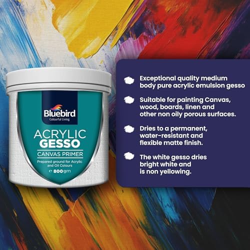 BLUEBIRD Heavy Gesso Primer for Acrylic Painting, Gesso Surface Prep Medium for Acrylic Paint and Oil Paint (Black, 28.2 Oz)