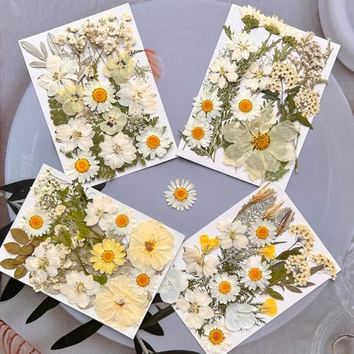 MIKIYA 90Pcs White Dried Pressed Flowers for Resin Molds, Real Natural Bulk Dry Floral Leaves for DIY Art Crafts, Epoxy Jewelry, Candle, Soap Making, Nails Decors Gifts