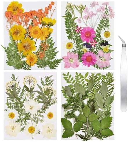 Dried Flowers for Resin