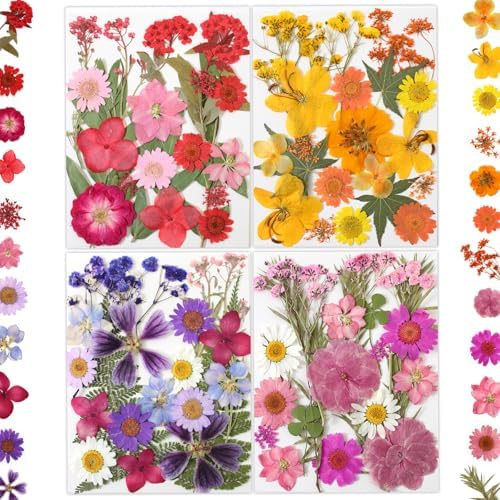 LUXEEASE 80P Yellow Red Pink Blue Dried Pressed Flowers | Fresh natural color mix, blooms and leaves ready to craft, for resin jewelry scrapbook candle frame decor, tweezers included