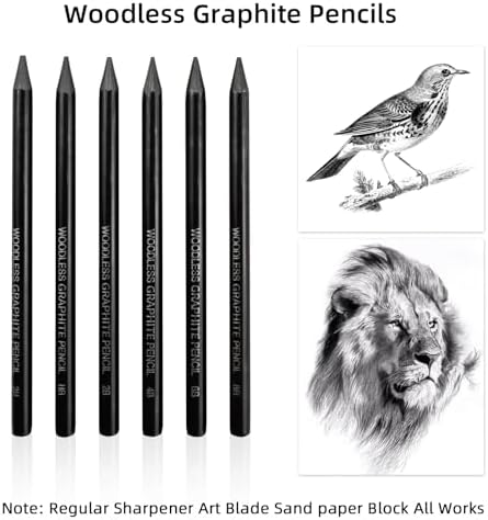 LIVHOLIC Woodless Graphite Drawing Pencils Set,6 Black Lead Pre-Sharpened 2H HB, 2B, 4B, 6B 8B Degrees Coloring Pencils, 50PK Blank Watercolor Card for Sketching,Writing,Shading