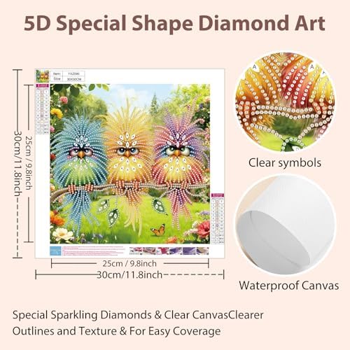 Bird Special Shape Diamond Art Kits for Adults Beginners