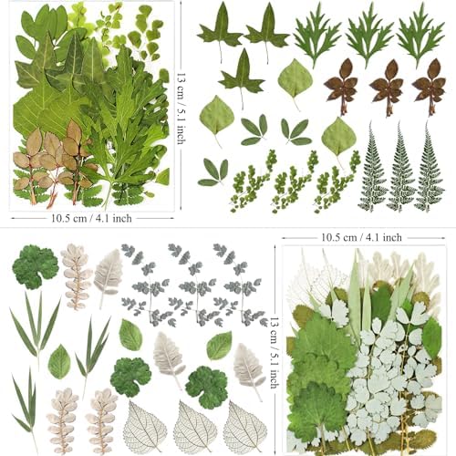 MIKIYA 84Pcs Pressed Dried Leaves for Resin Molds, Assorted Real Natural Bulk Dry Flowers for DIY Art Crafts, Epoxy Jewelry, Candle, Soap Making, Nails Decors Gifts