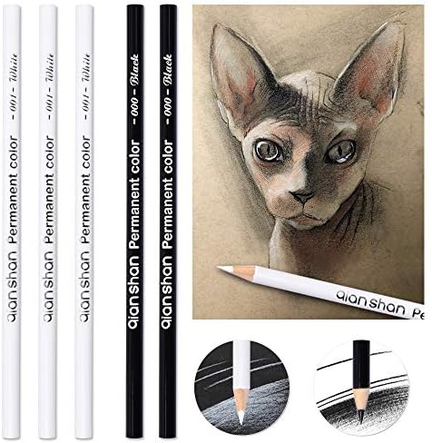 qianshan 5Pcs Black White Color Pencils - Permanent Color Drawing Pencil Oil-based Wooden Colored Pencils for Artist and Beginner Art Projects, 2 Colors of 3 White, 2 Black