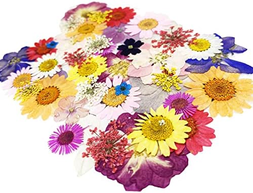 Cayway 42 Pcs Real Pressed Flowers Dry with Tweezers Set, Dried Pressed Flowers Colorful Real Pressed Flowers for Resin Scrapbooking DIY Art Crafts, Epoxy Resin Jewelry, Soap Making