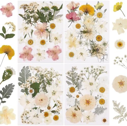 NESCCI 83 Pcs Dried Flowers for Crafts,Real Natural Dried Pressed Flowers in Soft Yellow, White & Pink Tones for Resin,Used for Scrapbooking DIY Art Crafts Candle Soap Making Nails Décor