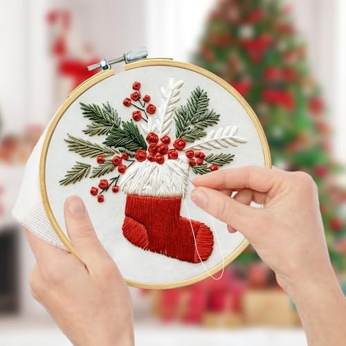 RUIQLXHANG Christmas Embroidery Kit, Christmas Gnomes Embroidery Kits for Beginners with Pattern, Cotton Threads, Needles, Instruction, 20cm Hoop, Gift for Mom, Grandma (Stocking Stuffer)