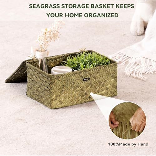 Nonam Seagrass Storage Basket with Lid, Set of 3, Dark Moss Green