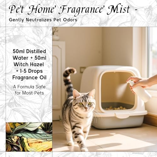 HIQILI Cedar Cologne Fragrance Oil for Diffuser, Candle & Soap Making