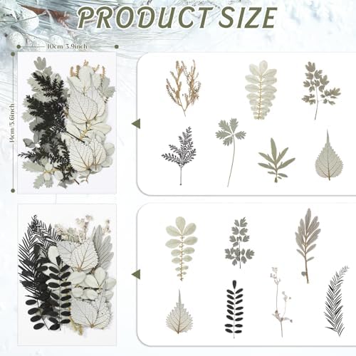 Timtin 84 Pieces Dried Pressed Leaves Dried Flowers for Resin Dried Leaves for Resin Mini Dried Flowers for Crafts Dried Greenery Assorted for Art DIY Handmade Bookmarks 4 Bags (Stylish Style)