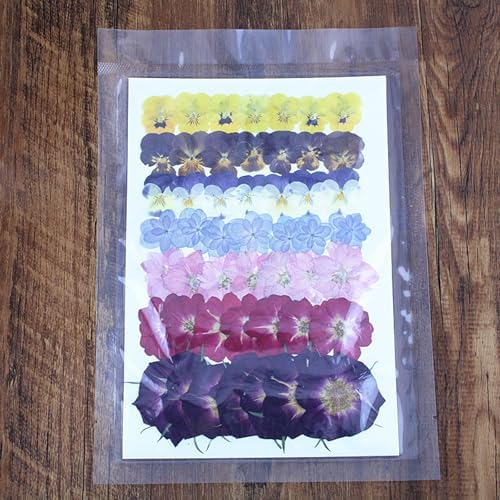49 Pcs Dried Pressed Flowers for Crafts Art Resin DIY Natural Dry Pansy Rose Hydrangea Floral Epoxy Jewelry Real Flower Plants Decor Cakes Phone Cases Bookmarks Candles Handmade Soap