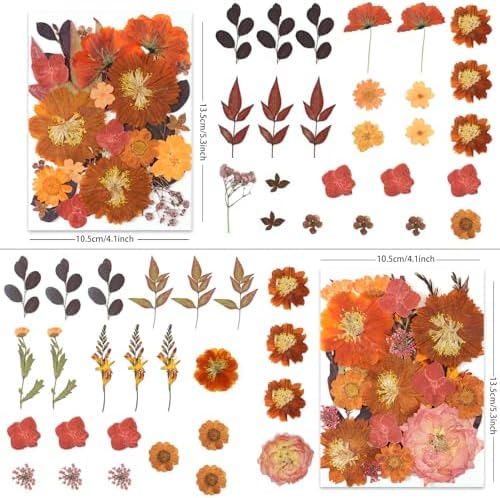 LUXEEASE 100P Autumn Dried Pressed Flowers, Warm Tone | Rust orange burgundy blooms, cozy fall feel, for resin scrapbook card seasonal home decor, tweezers included