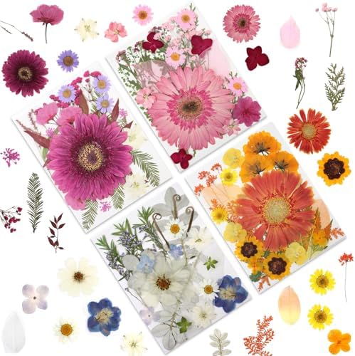 LUXEEASE 100P Vibrant Colors Large Dried Pressed Flowers | Gerbera daisy, real natural flowers, pink burgundy orange blue, for resin scrapbook jewelry frame decor, tweezers included
