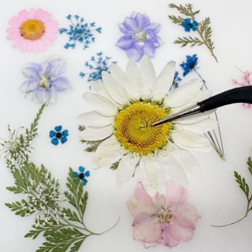 Cayway Natural Dried Pressed Flowers, Natural Dried Pressed Leaves, Natural Dry Flowers Leaves with Tweezers, Scissors for Pressed Leaf Art Craft DIY Embellishment Decorations (Green Pink Blue)