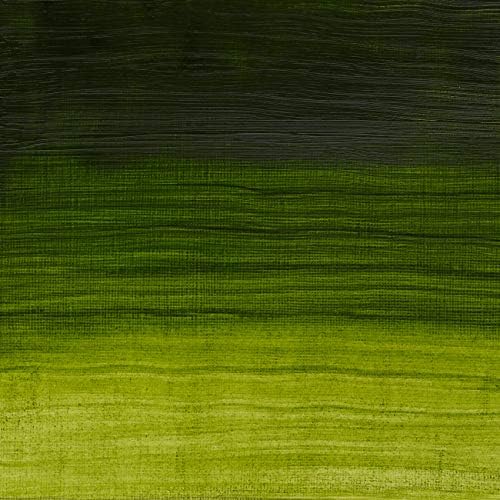 Winsor & Newton Artisan Water Mixable Oil Paint, 200ml Permanent Sap Green